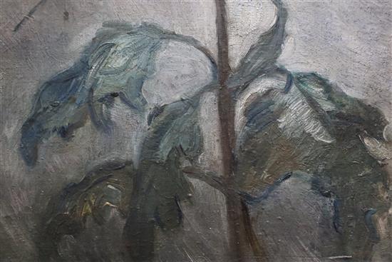 Attributed to Piet Mondrian, oil on panel, Study of a chrysanthemum, monogrammed, 63 x 26cm